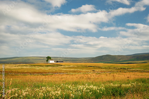 Wild Meadows in the North Pennines at Upper Teesdale,  a landscape of sweeping  moorlands, renowned for vast open skies, winding rivers and historic stone buildings in a National Landscape