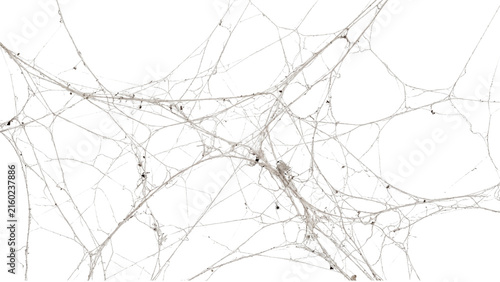 Принти на полотні Intricate white spiderweb overlay pattern on transparent background provides spooky atmosphere for horror movie posters or abandoned house architectural visualization