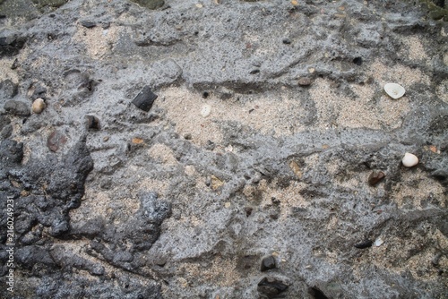 Canvastavla Close view of an irregular gray surface covered with fine sand, small stones, pebbles and shell fragments