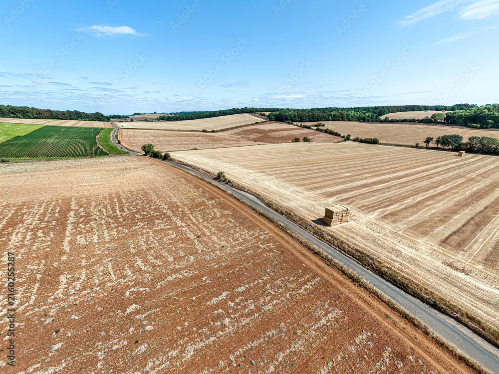 Fototapeta premium An aerial drone shot of fields on the Cotswolds during the August 2026 drought near Snowshill, Gloucestershire, England UK. The field in the foreground appears to be a failed crop of peas.