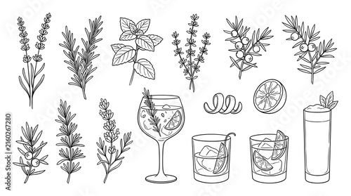 Botanical Cocktail Collection: A stylized line art illustration showcasing an array of fresh herbs, botanicals, and refreshing cocktails, perfect for adding a touch of natural elegance to any design.