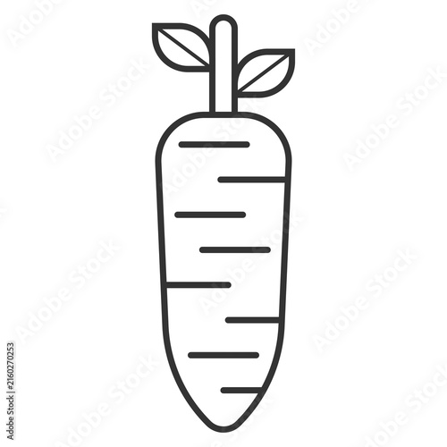 outline carrot icon