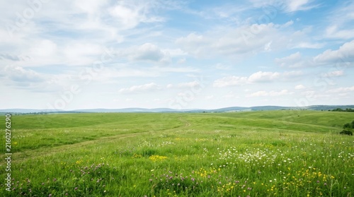 A wide, expansive landscape features a vibrant green meadow dotted with wildflowers, stretching towards a distant horizon. A winding dirt path cuts through the field.