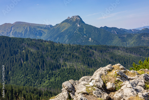 Panoramic view of green forest valley and distant mountain peak from rocky foreground
