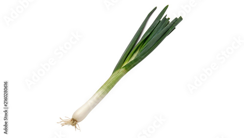 Foto Fresh green organic spring scallion leek isolated on transparent background