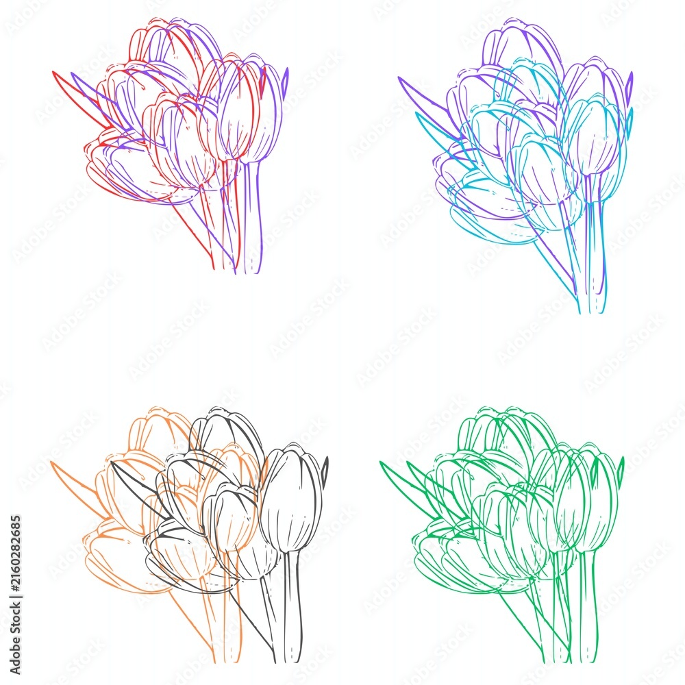 Set of Tulip Flower Bouquet Line Art Vector Illustrations in Various Color Outlines