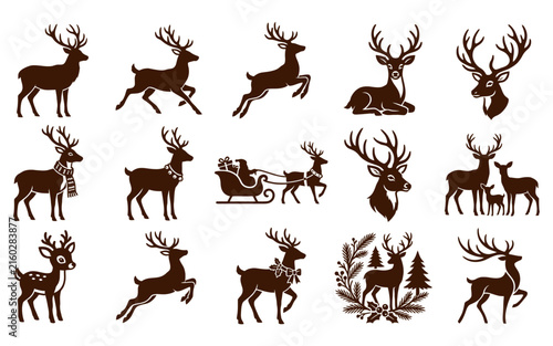 Collection of detailed brown reindeer illustrations with sleigh and winter foliage designs