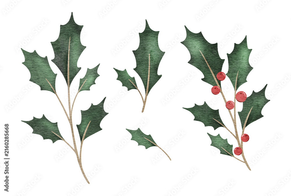 Fototapeta premium Set of Christmas bouquet of holly branches with red berries. Emerald ilex leaves. Botanical Winterberry. Hand painted watercolor illustration for wedding invitation, pack, christmas card