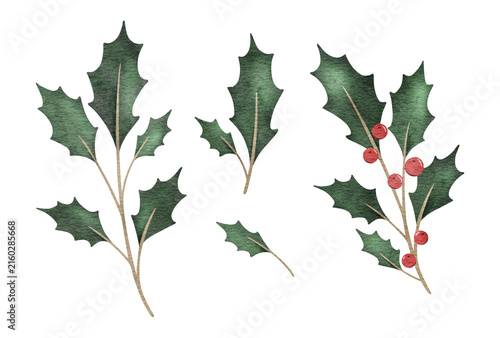 Set of Christmas bouquet of holly branches with red berries. Emerald ilex leaves. Botanical Winterberry. Hand painted watercolor illustration for wedding invitation, pack, christmas card