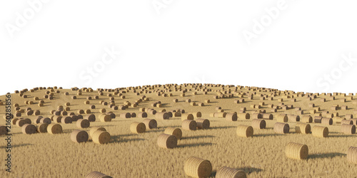Hay bale field terrain isolated on transparent background. 3D rendering.