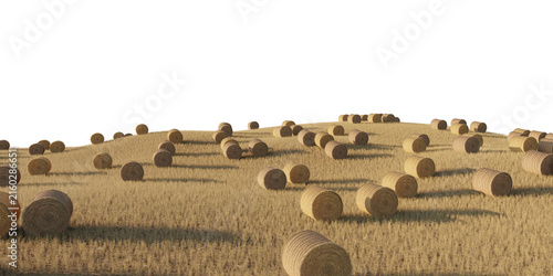 Hay bale field terrain isolated on transparent background. 3D rendering.