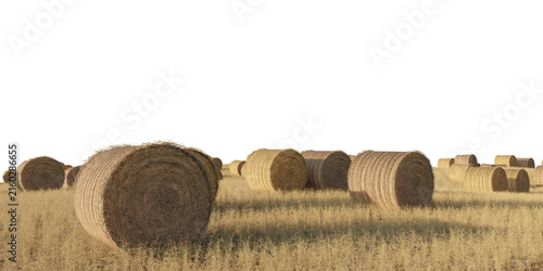 Hay bale field terrain isolated on transparent background. 3D rendering.