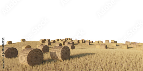 Hay bale field terrain isolated on transparent background. 3D rendering.