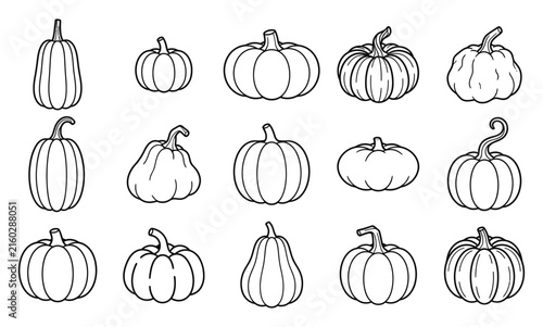 Set of hand drawn pumpkin sketches isolated on a white background for autumn and harvest design