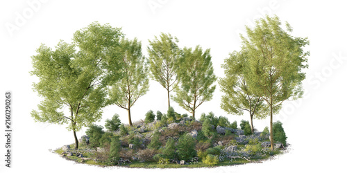 Tree grove terrain with rocks isolated on transparent background. 3D rendering.