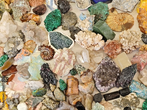 Close-up of geological collection with diverse minerals and fossilized ammonites