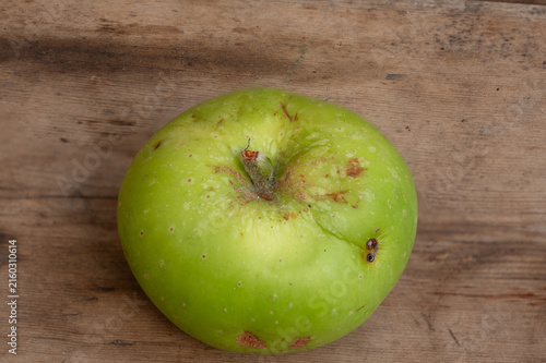 фотографія Homegrown organic Bramley apple with natural imperfections on rustic wooden surf