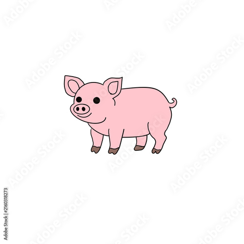 Pig 