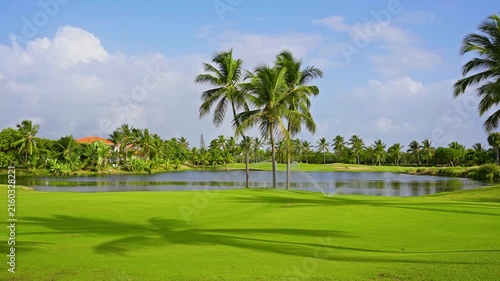 Young palm trees stand amid a grassy field against the backdrop of a park lake. The tropical landscape offers a vast open backdrop with ample space for active recreation in a suburban park.