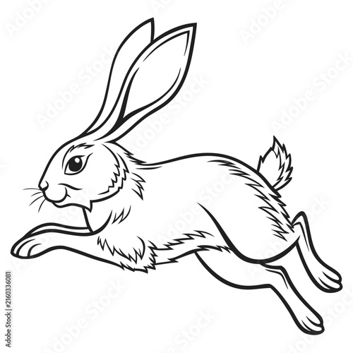 Running Rabbit Line Art Vector Illustration for Wildlife, Nature and Animal Design Template.