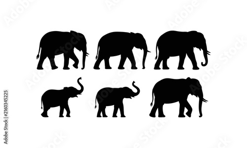 Canvas Print Black silhouette of six elephants walking in a row herd
