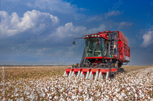 Türkiye / Izmir Menemen plain 06 September 2023 cotton fields and cotton picking vehicle