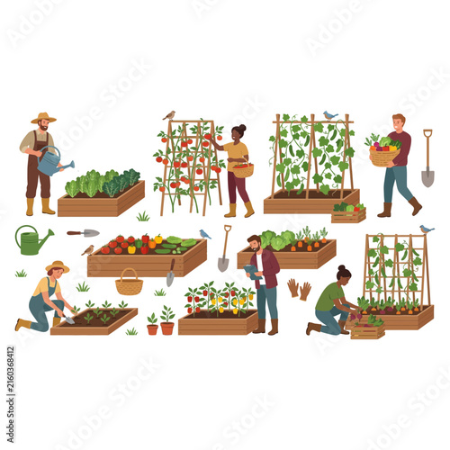 Diverse group of people working together in a community garden growing organic vegetables and harvesting fresh healthy produce