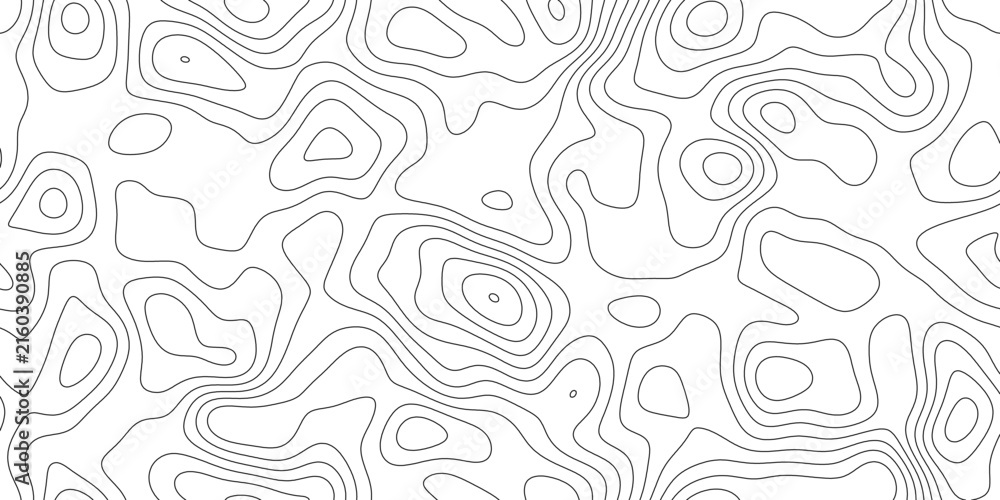 Fototapeta premium Minimal topographic line art background, abstract delicate line work mapping height and terrain, for banner, presentation and cover.