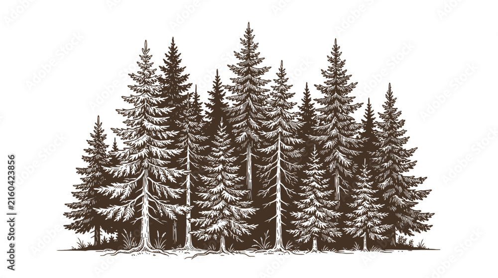 Obraz premium Modern Black and White of Dense Evergreen Forest with Tall Pine Trees Minimalist Art Style with high quality professional line art symbols for modern creative design and digital branding projects