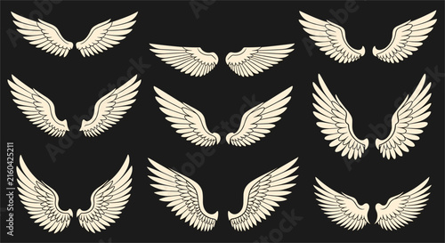 Variety of feathered angel and bird wings set on a solid dark background, showcasing various angles and styles.