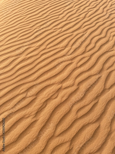Detail of a sand dune with ripples in desert in high resolution