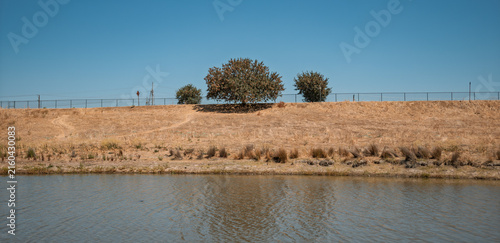 Grassy Levee and Trees Along Calm Water Surface