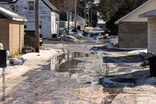 Alley-Oop: When the Spring Melt Turns the Shortcut into a Puddle-Jumping Contest A wide-angle view looking down a narrow residential alleyway during a messy spring thaw.