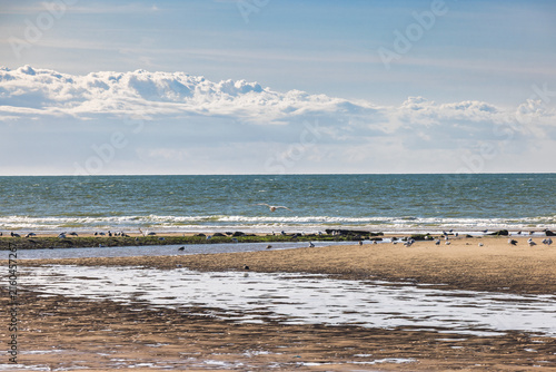 Coastal expanse with sandy beach, tidal flats, and ocean under a dynamic sky, featuring shorebirds and gentle waves. Ostend, a coastal city in Belgium, Europe.