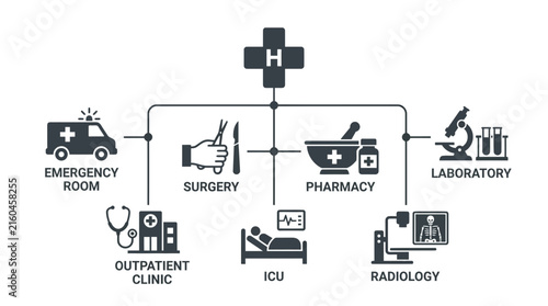 Hospital department infographic showing medical services in flat icons