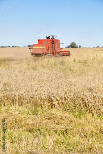 Combine harvesting wheat on a sunny summer day.