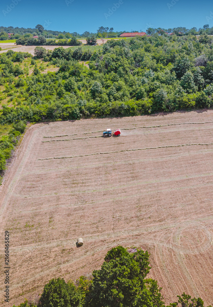 Fototapeta premium Tractor forming hay bales in a dry rural field from an aerial perspective. Agricultural activity during summer harvest