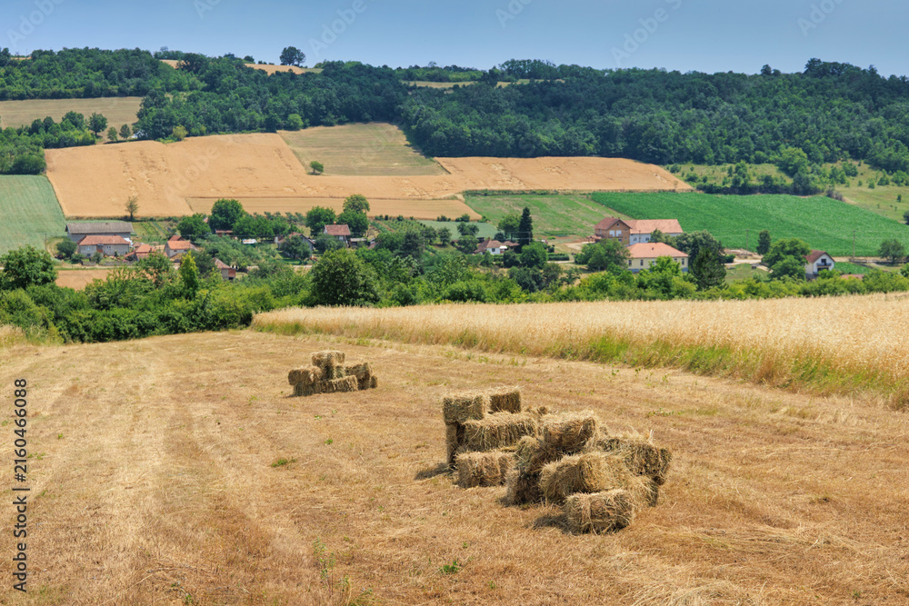 Fototapeta premium Hay bales collecting on a harvested field with a village and green hills in the background under a blue sky