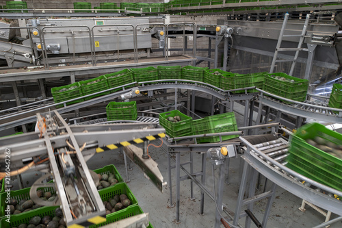 Aerial view of an avocado packing house with green crates moving along automated conveyor belts and sorting machinery in Tancitaro, Michoacan, Mexico.