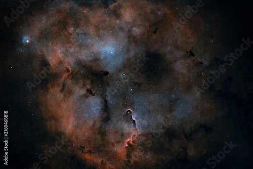 View of the IC 1396 Elephant's Trunk Nebula featuring glowing ionized gas clouds and dark dust filaments in the night sky, Poland.