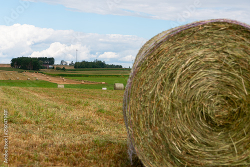 Large round hay bale in a harvested agricultural field, rural countryside landscape under a cloudy blue sky