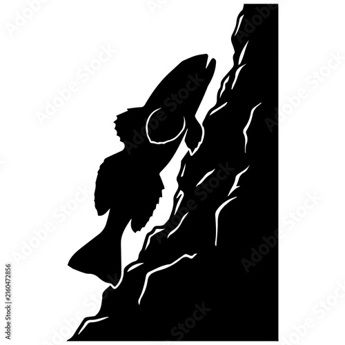 Silhouette of a Fish Climbing a Rocky Surface in Black and White