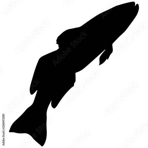 Silhouette of a Fish Jumping Out of Water at Waterfall