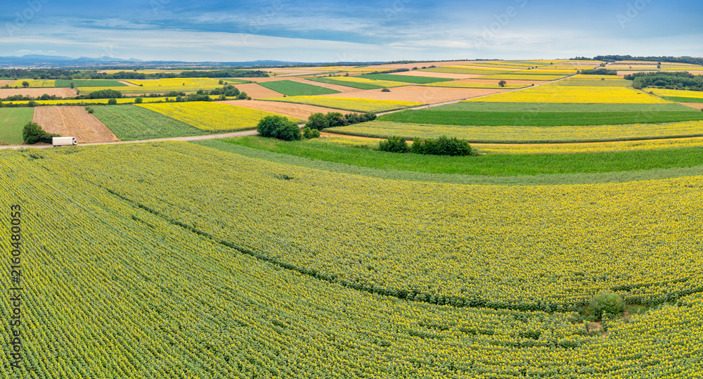 Fototapeta premium Aerial view of a rural landscape showing vast agricultural fields with yellow blooming sunflowers, rapeseed, and green crops