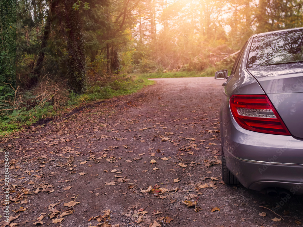 Fototapeta premium A silver car is parked on a dirt road with leaves on the ground in a forest park. Travel and walk in nature concept. Light and airy mood.