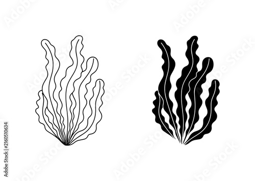 Seaweed Vector Illustrations, Ocean Plant Line Art and Silhouette, Aquatic Flora Graphics