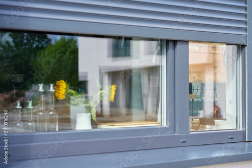 Quadro su tela Dark gray roller shutter shades the upper part of a kitchen window, with sunflow