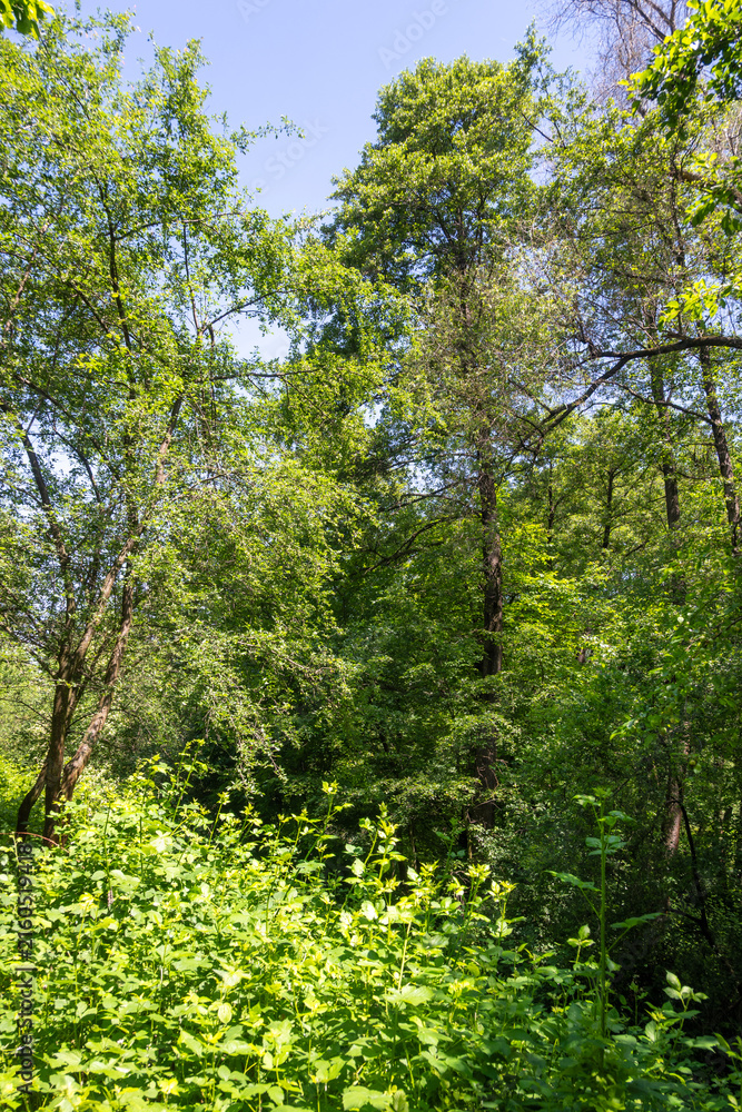 Fototapeta premium Landscape around Pancharevo lake, Bulgaria