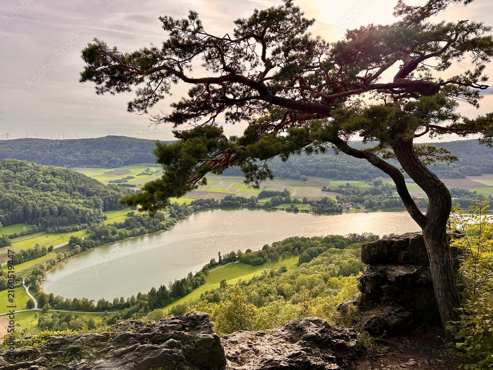 Fototapeta premium tree in the mountains