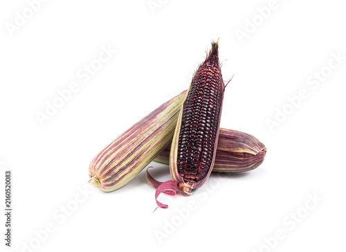 Obraz na płótnie Red sweet corn or Siam Ruby Queen can be eaten fresh isolated on a white background